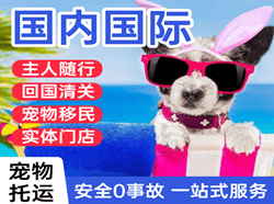 牡丹江机场邮寄国际宠物托运 【国
